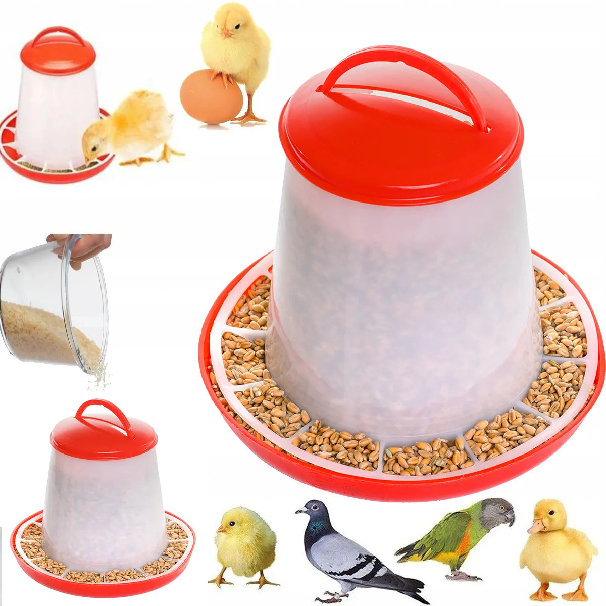 Duże karmidełko do inkubatora klujnika kur 3KG