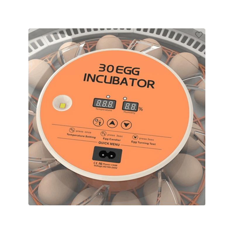 Inkubator do jaj 30 szt. Automatyczne obracanie, LED, regulacja temperatury 37,5-40°C, klujnik do kur, kaczek, przepiórek